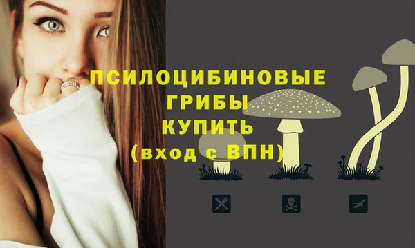 мяу мяу мука Россошь