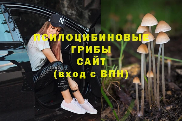 бутират Ростов