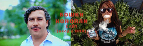 прущая мука Рославль