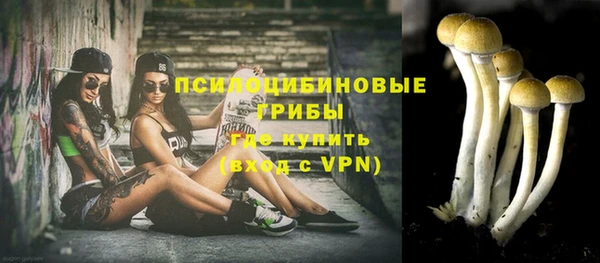 прущая мука Рославль