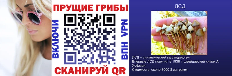 Псилоцибиновые грибы прущие грибы  MEGA онион  Богородицк 