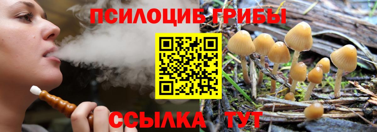 Богородицк  Галлюциногенные грибы GOLDEN TEACHER  где купить наркоту  Вход с VPN 