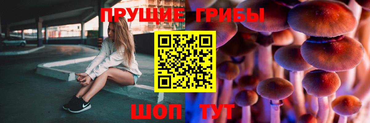 Псилоцибиновые грибы мухоморы Богородицк