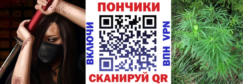 Бошки Шишки индика  наркотики  мега ONION  Богородицк 